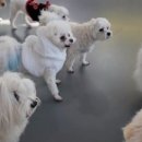 놀러왕왕왕 네이버블로그