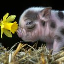 경근농장 이미지