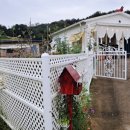 아드레이 이미지