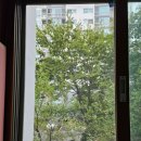 TS3차 | 양주 방충망 삼숭동 TS푸른솔3차 촘촘한 미세망 교체 후기