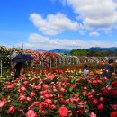 곡성의료기 이미지