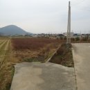 신지면-3 이미지