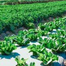 경북농약농자재할인마트 이미지