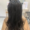 댕댕살롱앤스파 | 광주 하남 미용실 에코레비헤어앤스파 클리닉 후기