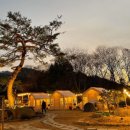 빛의 정원 - 20 이미지