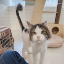 잔다냥 천안점 이미지