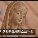 핑크네일오브뉴욕