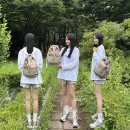 미니멜로우 | 나일론 미니 백팩 밤켈 멜로우 스트링 백팩 실사용 후기