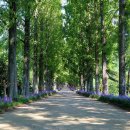 나주자원 이미지