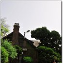 3.1운동길 이미지