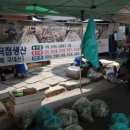 평창봉평메밀식품 Daum카페