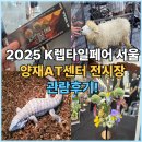 렙타일숲 | 2025 K렙타일페어 서울 관람후기 IN 양재AT센터