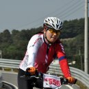 파랑새2 이미지