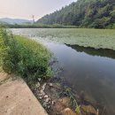 오동축산 이미지