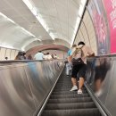 뉴욕뉴욕(New York New York) 이미지