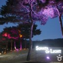 빛의 소나타 이미지