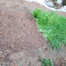 뜨락농원 이미지