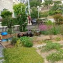 대운8길 이미지