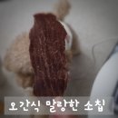 간식시간 | 쫀득 말랑 촉촉 오간식 소칩으로 간식 시간 순삭 실제 급여 후기
