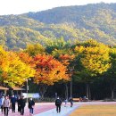 아주체육공원 이미지