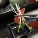 연참치 이미지