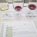 종합3급부분공업사 | WSET L3 와인 소믈리에 합격 후기 WSET 3급 난이도 공부방법