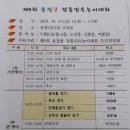 신흥동 라인댄스 이미지