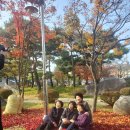 춘천고등학교 이미지