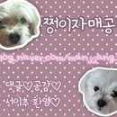 장스헤어 | 분당 미금역 저렴한 미용실 추천! 장스헤어 클리닉 후기
