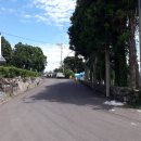 강정동-8 이미지