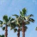 정연치과의원 이미지