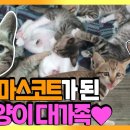 고교농장(2) 이미지