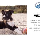 인덕원동물의료센터 이미지