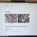 페이버헤어 숲칼프 대구대곡점