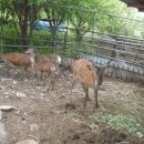 파란농장 이미지