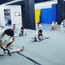 예능익스트림태권도장 이미지