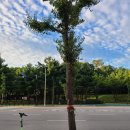 대화동 행정복지센터 이미지