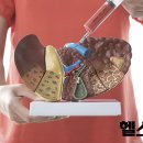 김병호내과 이미지