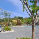 영천한의마을 한의원 이미지