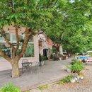 GR(연천군)-[연신로]-하-11 | 경기도 연천군 캠핑장 - 에브라임 캠핑장