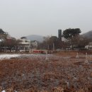 문화광장 사거리 Daum카페