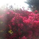 강화전쟁박물관 이미지