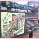 대공원입구로 Daum카페