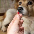 위너스 동물병원 이미지