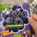 뉴칸 | 일본 오사카 뉴칸(출입국관리국)에서 워홀비자에서 취업비자로 재류변경 신청(취업비자3년)