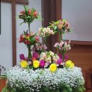 참사랑교회 이미지