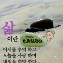 ♤ 4망신고~~ 이미지