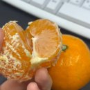 타이어프라자(주) | M12_2025년 마지막 일상❄️🎄