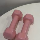 미용아령, 탄력 있는 팔라인 완성하는 멜킨 홈트 루틴 후기