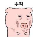 몰리짐 네이버블로그